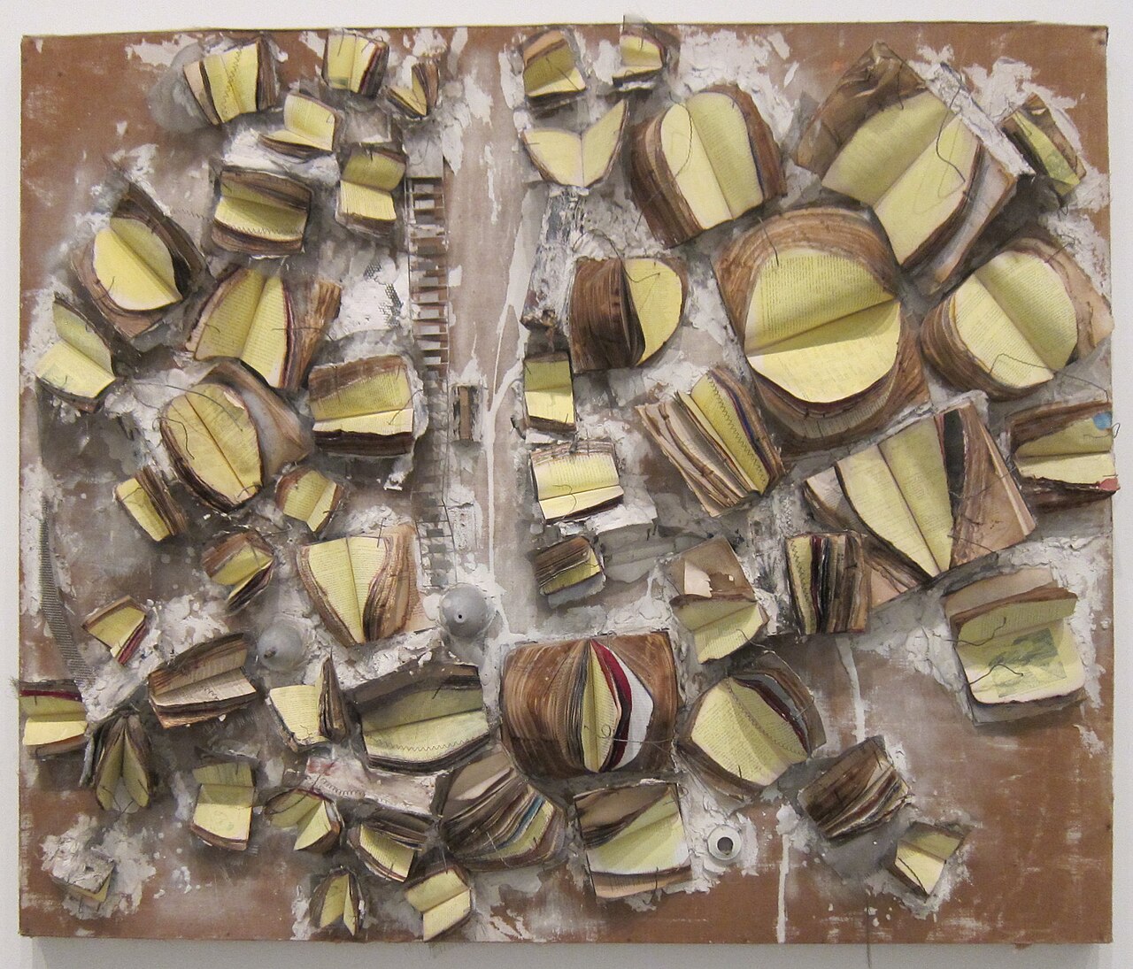 John Latham's 1960 work 'Film Star': dozens of charred and splayed books set in plaster and metal across a canvas, their pages fanned open like pale wings.