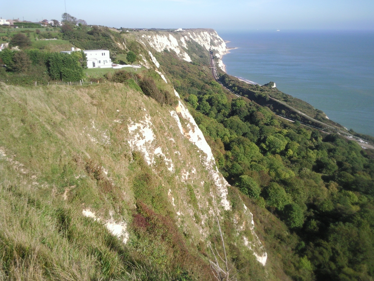 Chalk cliffs rising above Folkestone Warren, rendered in a pop-art duotone screen.