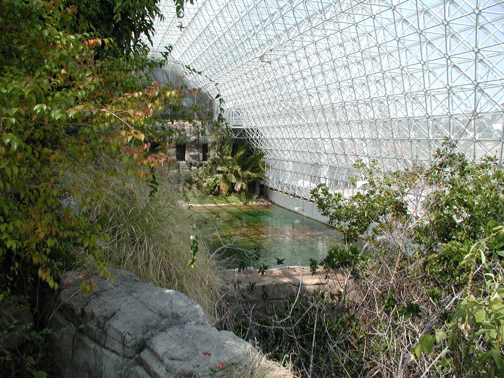 Interior of Biosphere 2 looking up through the white triangulated space-frame at glass panels and lush planted terraces below.