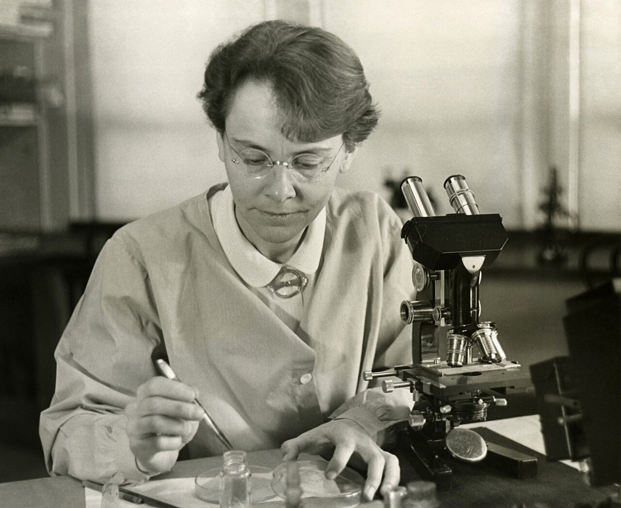 Barbara McClintock at her microscope in 1947, holding a fine pen over petri dishes in her Cold Spring Harbor laboratory.