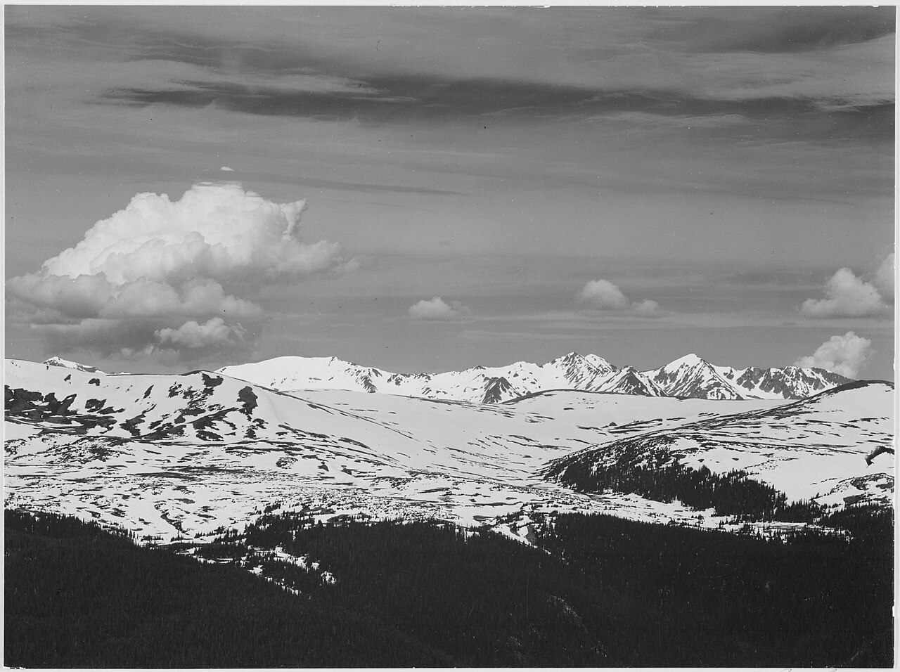 A dark timberline foreground giving way to a snow-capped mountain under a grey sky, Rocky Mountain National Park.