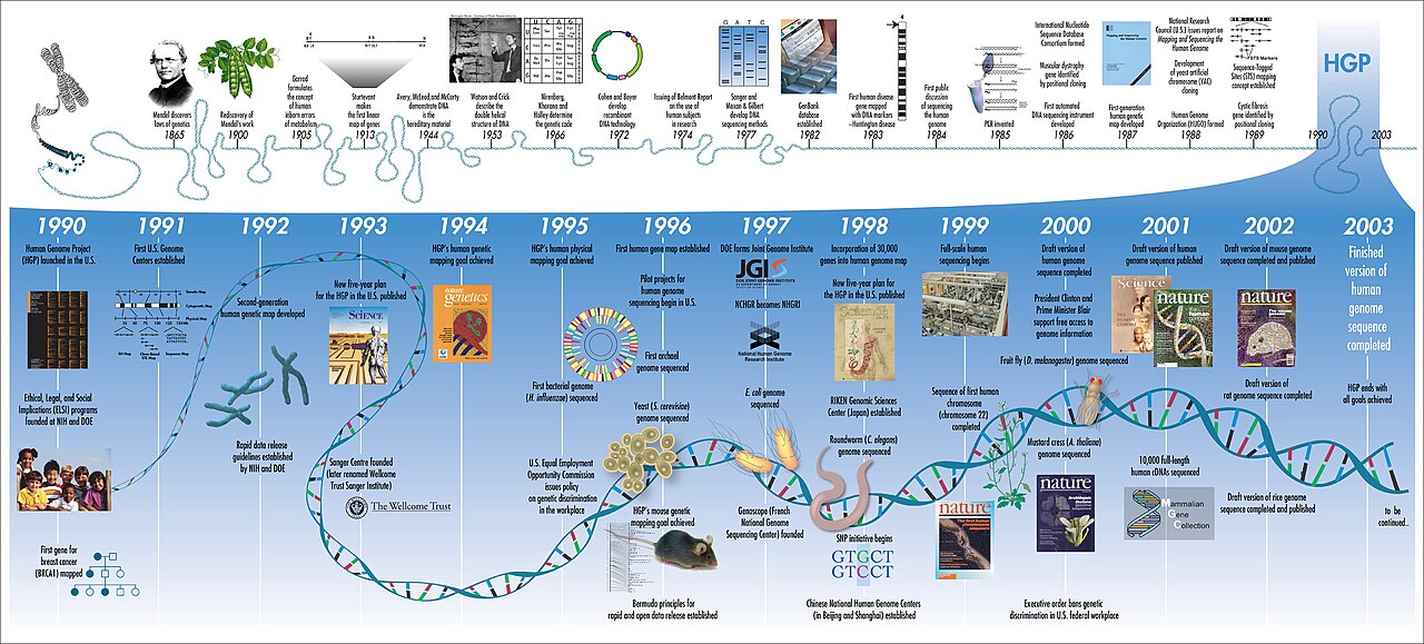 The Human Genome Project Timeline: a horizontal chart of genomics milestones from 1865 to 2003, produced by the National Human Genome Research Institute.