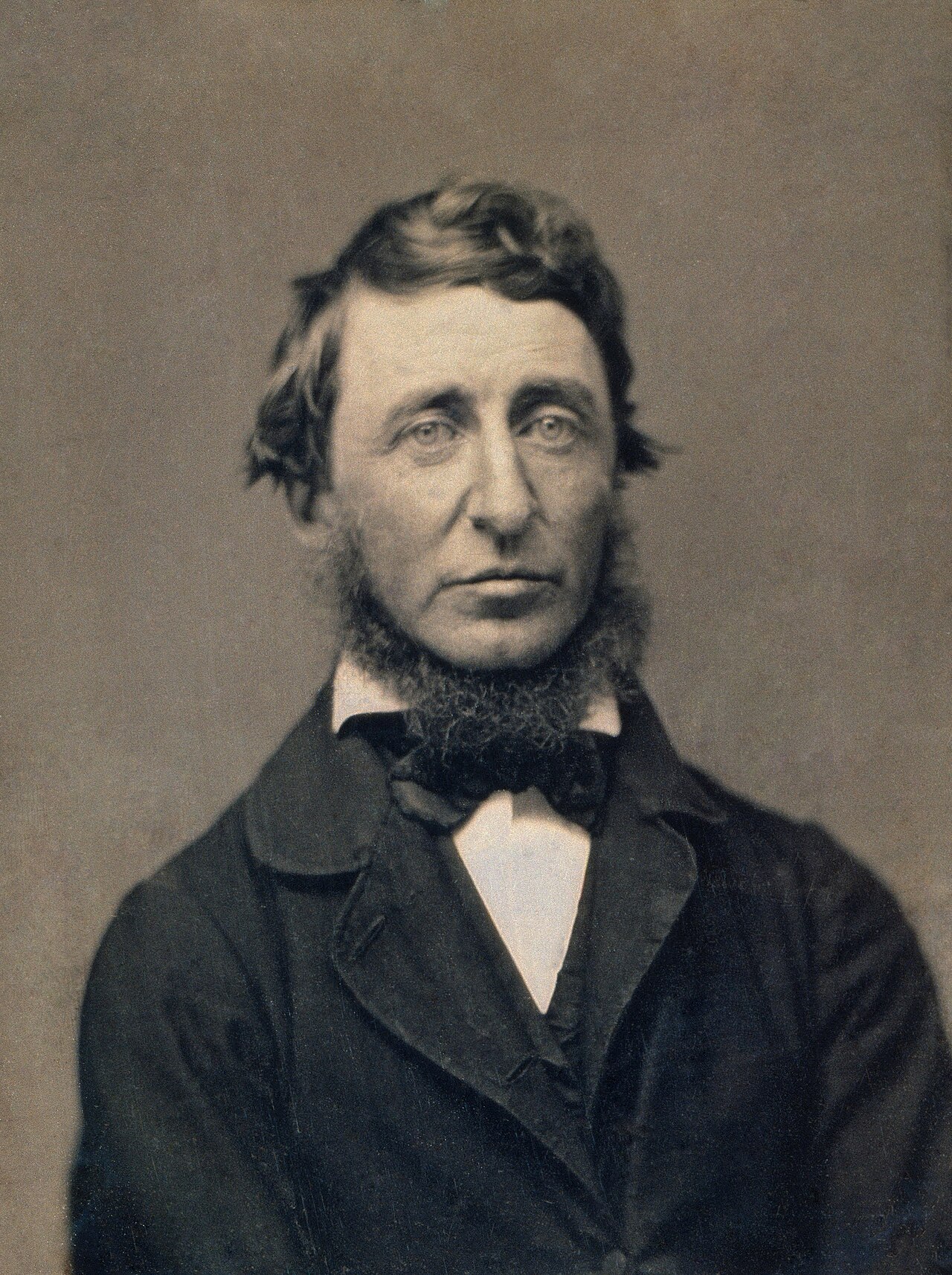 Ninth-plate daguerreotype portrait of Henry David Thoreau, bearded and looking toward the viewer.